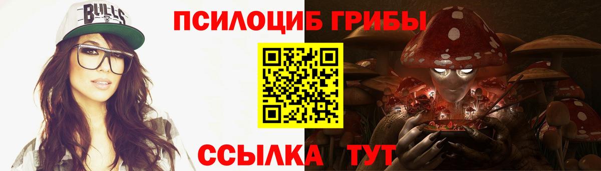 Десногорск  Галлюциногенные грибы Psilocybe  Вход с VPN 
