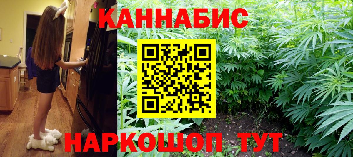 Конопля сатива  Канабис OG Kush  Десногорск  Канабис гибрид  Бошки Шишки планчик  Вход с VPN 
